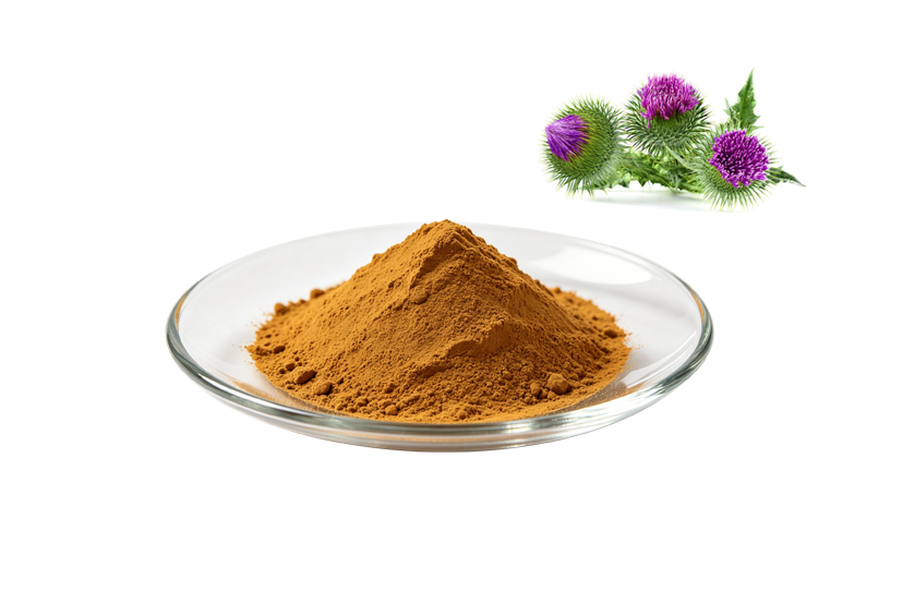Best Milk Thistle Extract